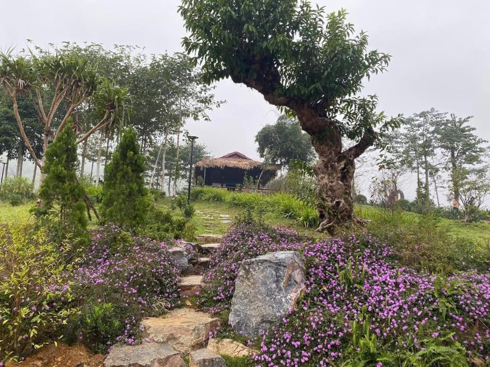 Ho Tam Homestay Hòa Bình Exterior foto